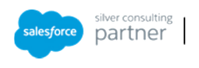Salesforce Silver Consulting Partner partner